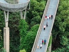 -福道