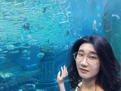 -哈尔滨波塞冬海底世界