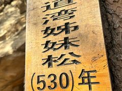 -青岩寺风景区
