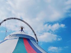 -鹅湖玫瑰文化园