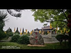 -大槐树寻根祭祖园
