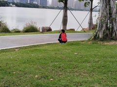 -光明港公园