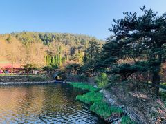 -庐山风景区花径公园