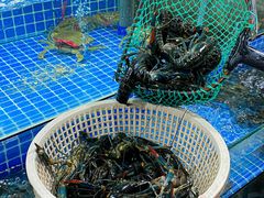 -星记小馆·小蓝龙·老南京砂锅菜(上海路店)