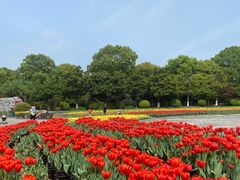 -上海鲜花港