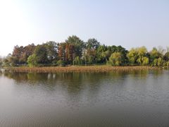 -月湖风景区