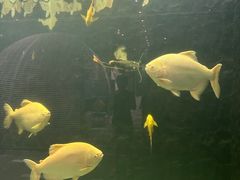 -弘安丽水温泉酒店