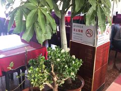 -北京龙庆四季香农家饭庄·灶台鱼·碳烤虹鳟鱼(龙庆峡店)