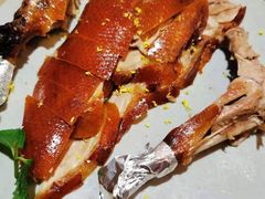 -青年公社烤鸭(青年路店)