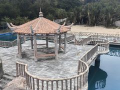 -广东惠东海龟国家级自然保护区