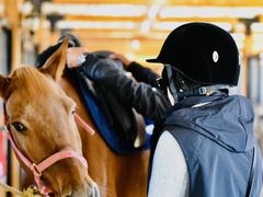 -北京群众马术培训基地