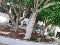 -求水山公园