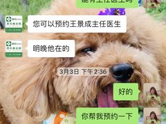 -爱侣宠医·鹦鹉专科·小型哺乳类·异宠专科(灵石路店)