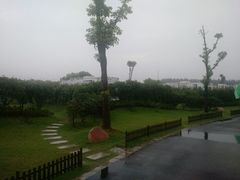 android_upload_pic-明珠湖天鹅苑·农家菜馆