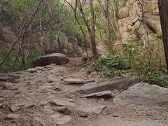 -大岭沟猕猴桃谷风景区