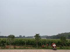 -北京张裕爱斐堡酒庄