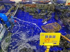 -79号渔船海鲜饭店(华强北店)