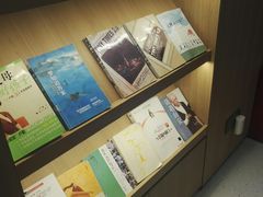 -桥恩心理咨询国际连锁(南山总店)