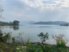 -东钱湖旅游度假区