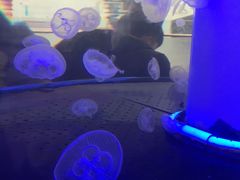 -唱吧麦颂KTV(东胜港悦广场店)