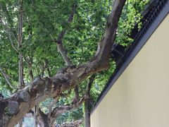 -长江路历史文化街区