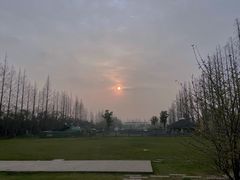 -前小桔亲子创意农场·草莓采摘·露营烧烤