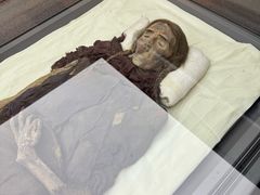 -巴音郭楞蒙古自治州博物馆