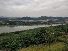 -羊山湖公园