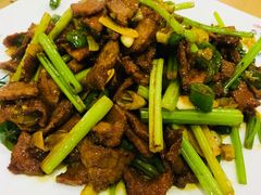 -清真•蜀风园(丁字沽总店)