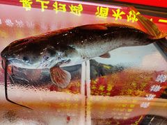 -江湖水乡铁锅炖魚(周庄嘉园店)