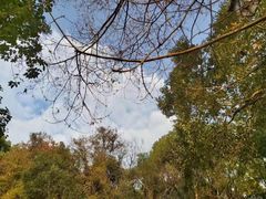 -宁波市保国寺古建筑博物馆