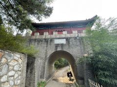 -云岗森林公园
