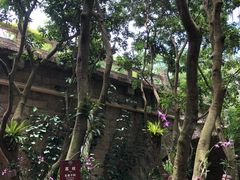 -亚龙湾热带天堂森林公园