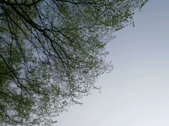 -白云山风景名胜区