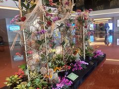 -广州中国大酒店