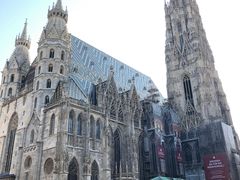 -斯蒂芬主教座堂(Stephansdom)