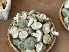 -云南木水花野生菌交易中心