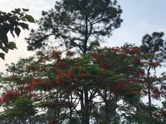 -火炉山森林公园