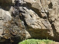 -鲁山国家森林公园