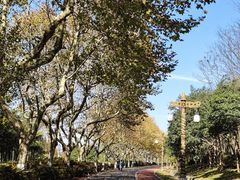 -宜兴龙背山森林公园