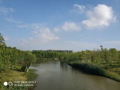 景点-上海长兴岛郊野公园