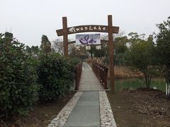 -苏州太湖国家湿地公园