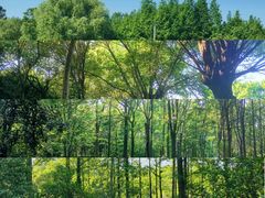 -大蜀山国家森林公园