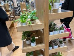 -MUJI无印良品(环球港店)