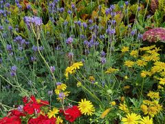 -深圳国际园林花卉博览园