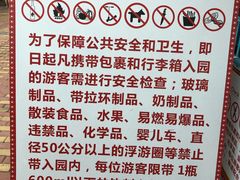 -苏州乐园森林水世界