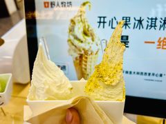 -野人先生现做冰淇淋(西安赛格店)