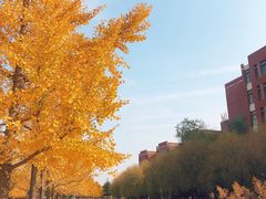 -山东科技大学（青岛校区）-图书馆