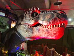 -恐龙探索乐园(磁器口店)