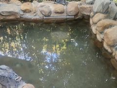 -深业半汤御泉庄温泉